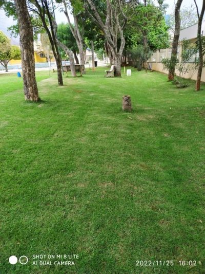 Terreno, 450 m² - Foto 2