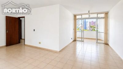 Casa, 6 quartos, 175 m² - Foto 5