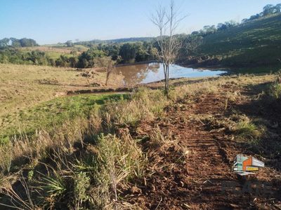 Sítio, 24 hectares - Foto 1