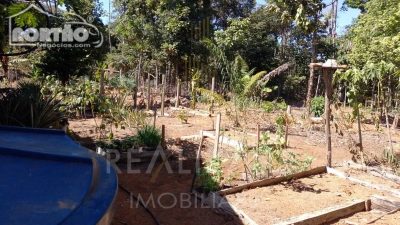 Casa, 4000 m² - Foto 4