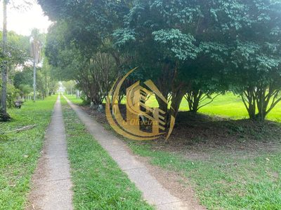 Terreno, 3 hectares - Foto 1
