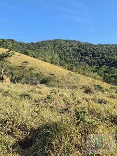 Fazenda, 2 quartos - Foto 4