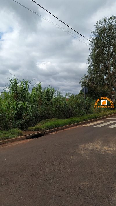 Chácara, 3000 m² - Foto 4