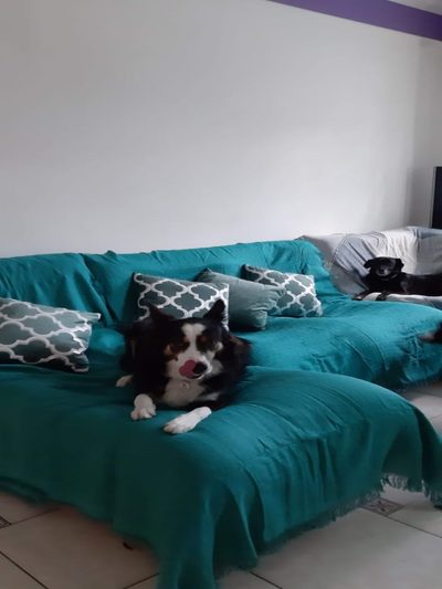 Sobrado, 3 quartos - Foto 4