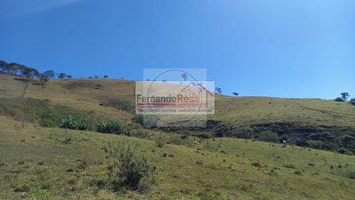 Chácara, 2 hectares - Foto 2