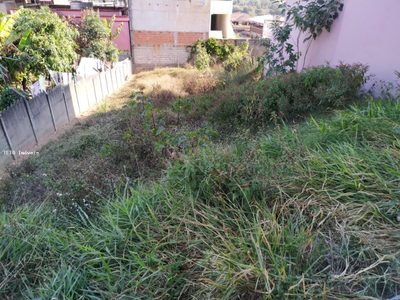 Terreno, 300 m² - Foto 5