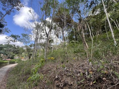 Terreno, 1 hectares - Foto 4