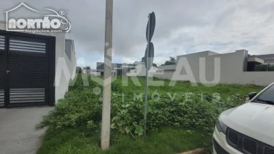 Casa, 4 quartos, 155 m² - Foto 4