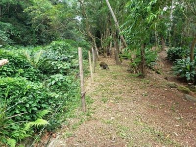 Terreno, 650 m² - Foto 4