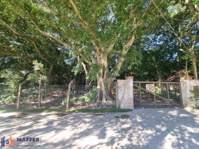 Terreno, 972 m² - Foto 2