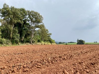 Fazenda, 34 m² - Foto 4