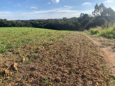 Terreno, 6 hectares - Foto 4