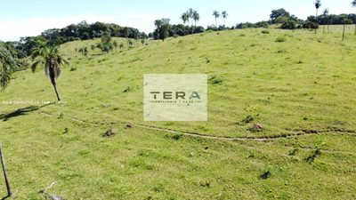 Fazenda, 87 hectares - Foto 3