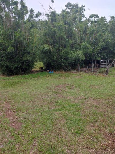Chácara, 3 quartos, 20 hectares - Foto 2