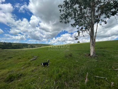 Sítio, 4 hectares - Foto 5