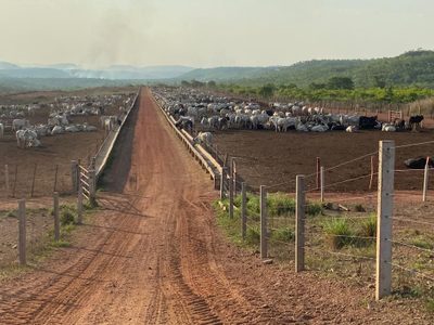 Fazenda, 3000 hectares - Foto 1