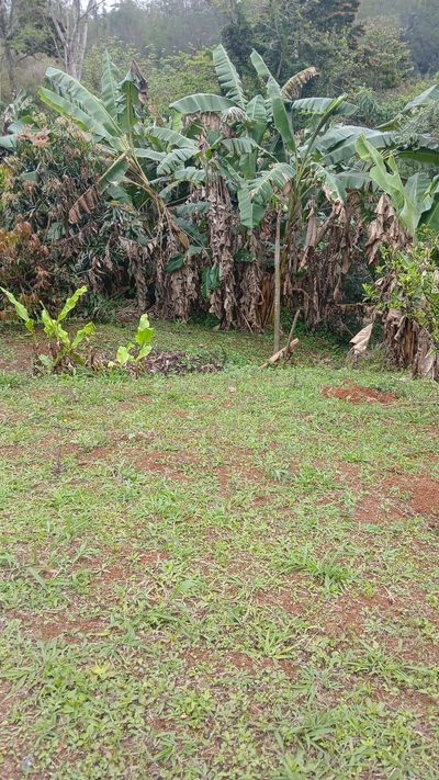 Terreno - Foto 1