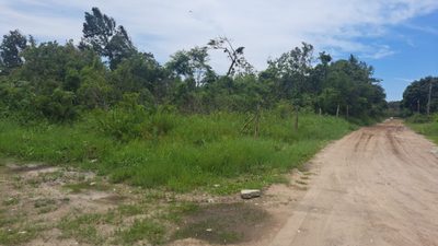 Terreno, 300 m² - Foto 1