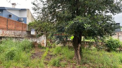 Terreno, 800 m² - Foto 1