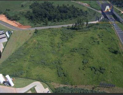 Terreno, 6 hectares - Foto 4