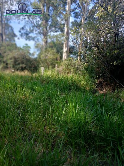 Terreno, 1 m² - Foto 3