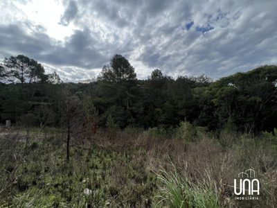 Terreno, 361 m² - Foto 4