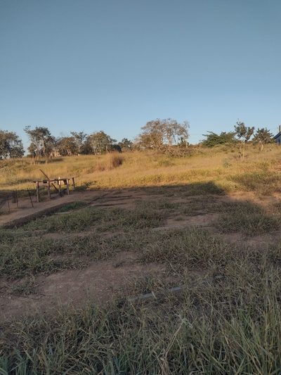 Terreno - Foto 5