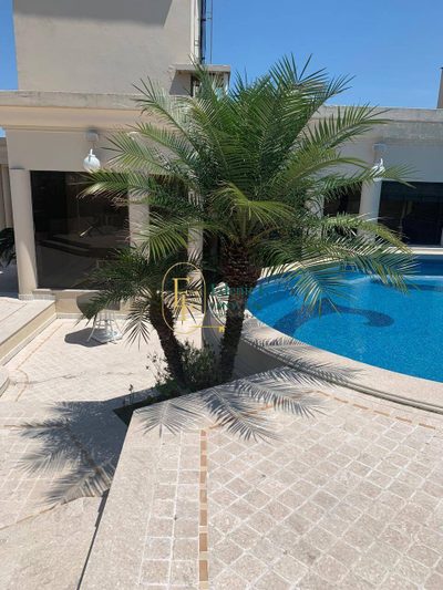 Cobertura, 7 quartos, 770 m² - Foto 3