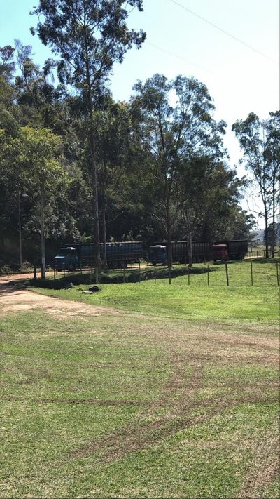 Fazenda, 484 hectares - Foto 3