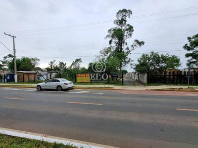 Terreno, 3259 m² - Foto 4