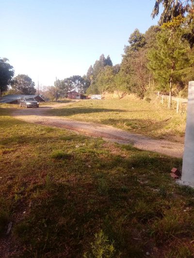 Chácara, 4 quartos, 10000 m² - Foto 1