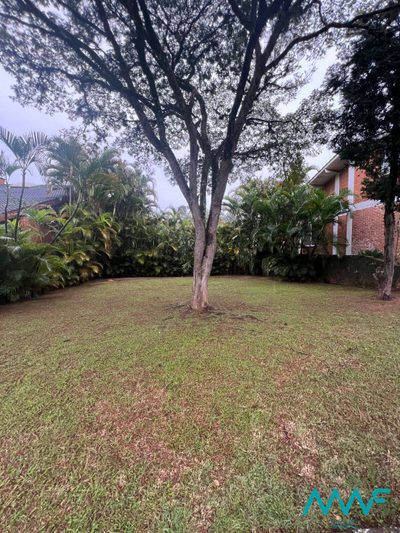 Terreno, 439 m² - Foto 2