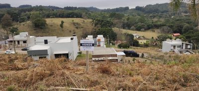 Terreno, 306 hectares - Foto 4