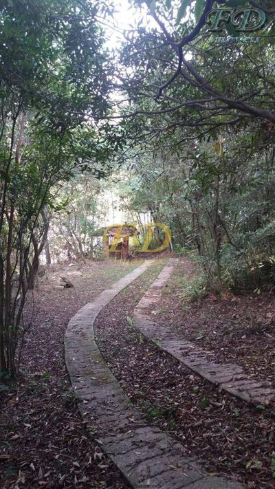 Terreno, 1570 m² - Foto 3