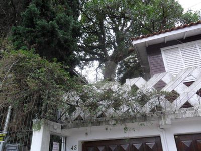 Sobrado, 3 quartos, 250 m² - Foto 3