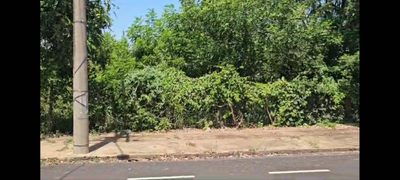 Terreno, 1000 m² - Foto 2