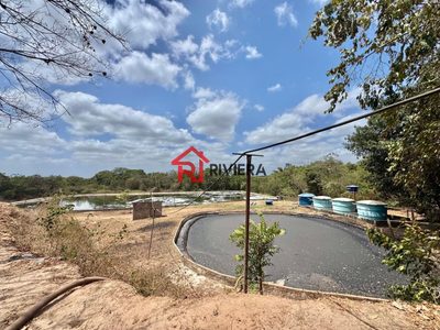 Terreno, 48 hectares - Foto 2