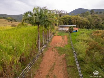 Fazenda, 18 hectares - Foto 3