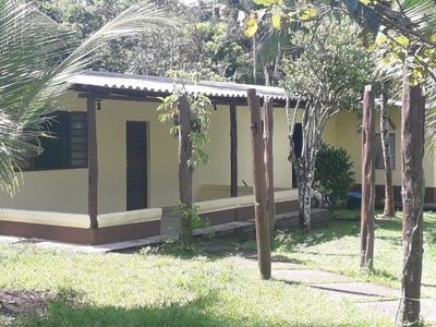 Chácara, 4 quartos, 10000 m² - Foto 3