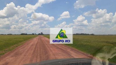 Fazenda, 6616 hectares - Foto 4