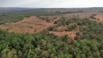 Terreno, 3125 hectares - Foto 2