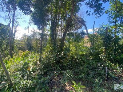 Terreno, 500 m² - Foto 3