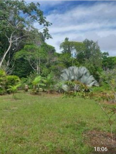 Terreno, 25 hectares - Foto 5