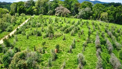 Chácara, 1 quarto, 100 hectares - Foto 1