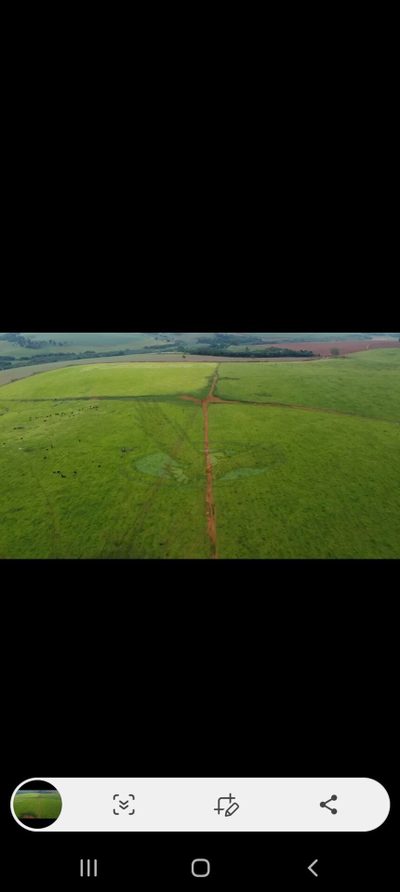 Fazenda, 218 hectares - Foto 1