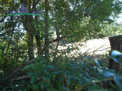 Terreno, 800 m² - Foto 3