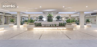 Casa, 4 quartos, 893 m² - Foto 3