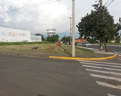 Terreno - Foto 4