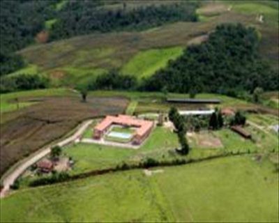 Fazenda, 121 hectares - Foto 4