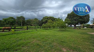 Chácara, 2 quartos, 8 hectares - Foto 4